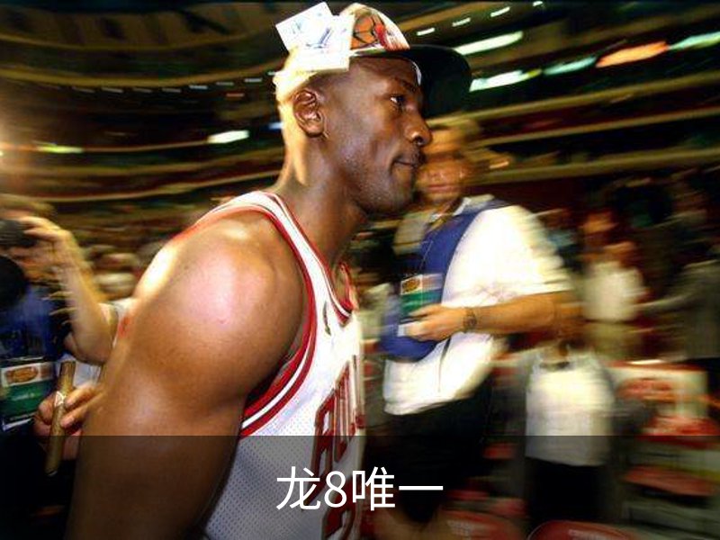 龙8唯一概况
